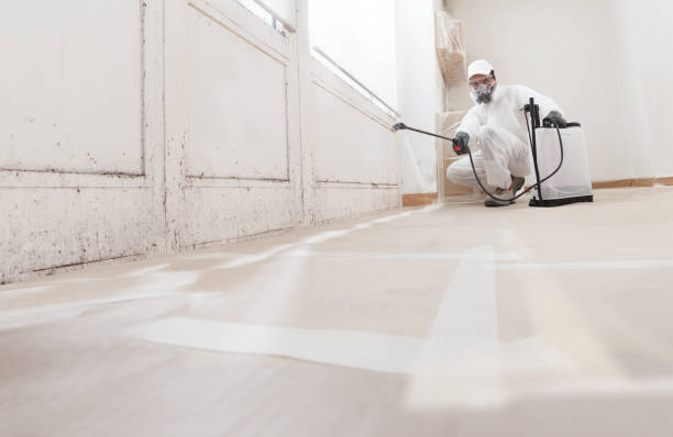 24/7 Emergency Black Mold Remediation experts in Lafayette, OR