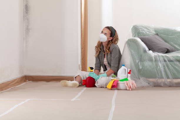 Reliable Black Mold Remediation contractor in Lafayette, OR by Mold Remediation HQ